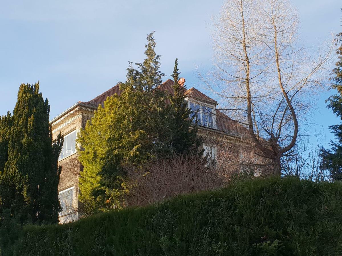 Ferienwohnung Mit Flair Δρέσδη Εξωτερικό φωτογραφία
